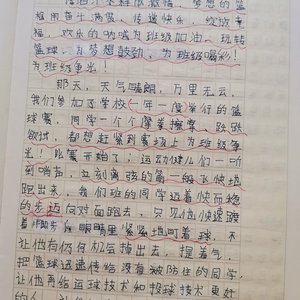 刻苦训练篮球的过程 作文50字左右