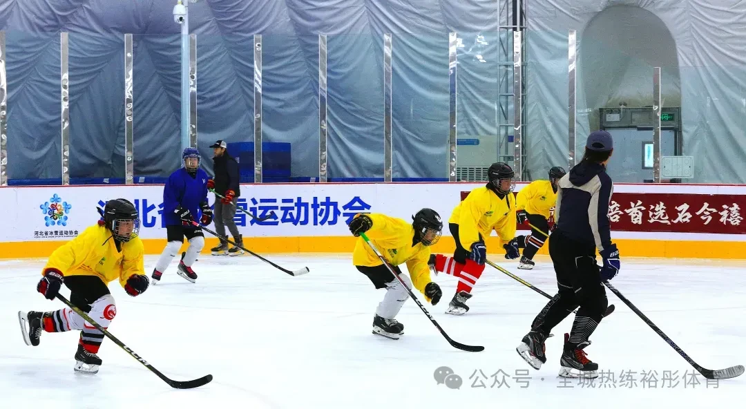 篮球训练法读后感怎么写_0